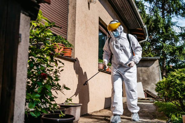 Best Pest Prevention Services  in Crump, TN