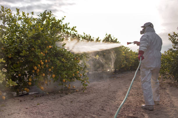 Best Insect Control  in Crump, TN
