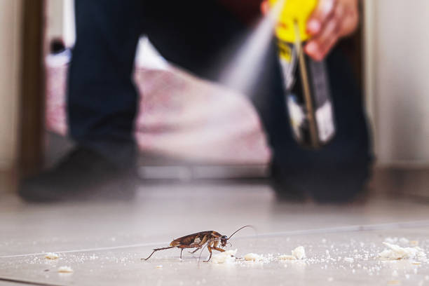 Trusted Crump, TN Pest Control Experts