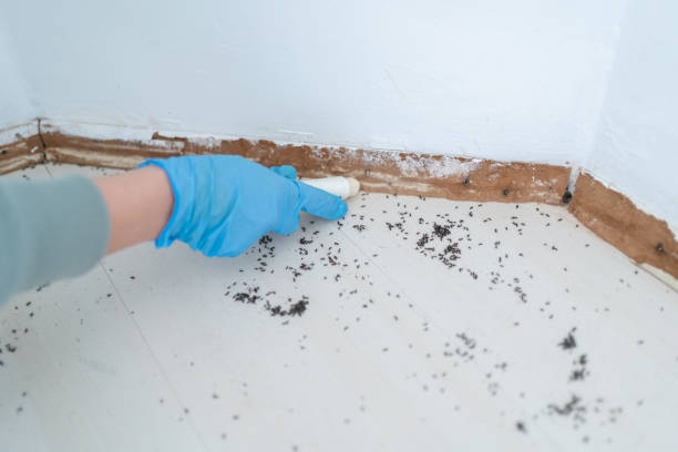Best Best Pest Control Companies  in Crump, TN